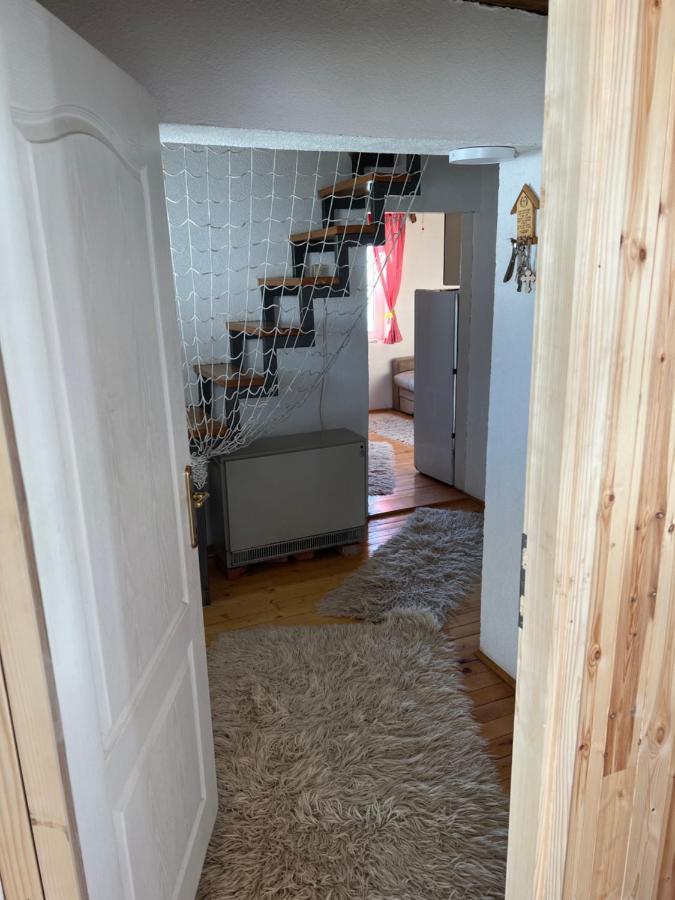 Kuca Miladinovic Villa Kopaonik Esterno foto